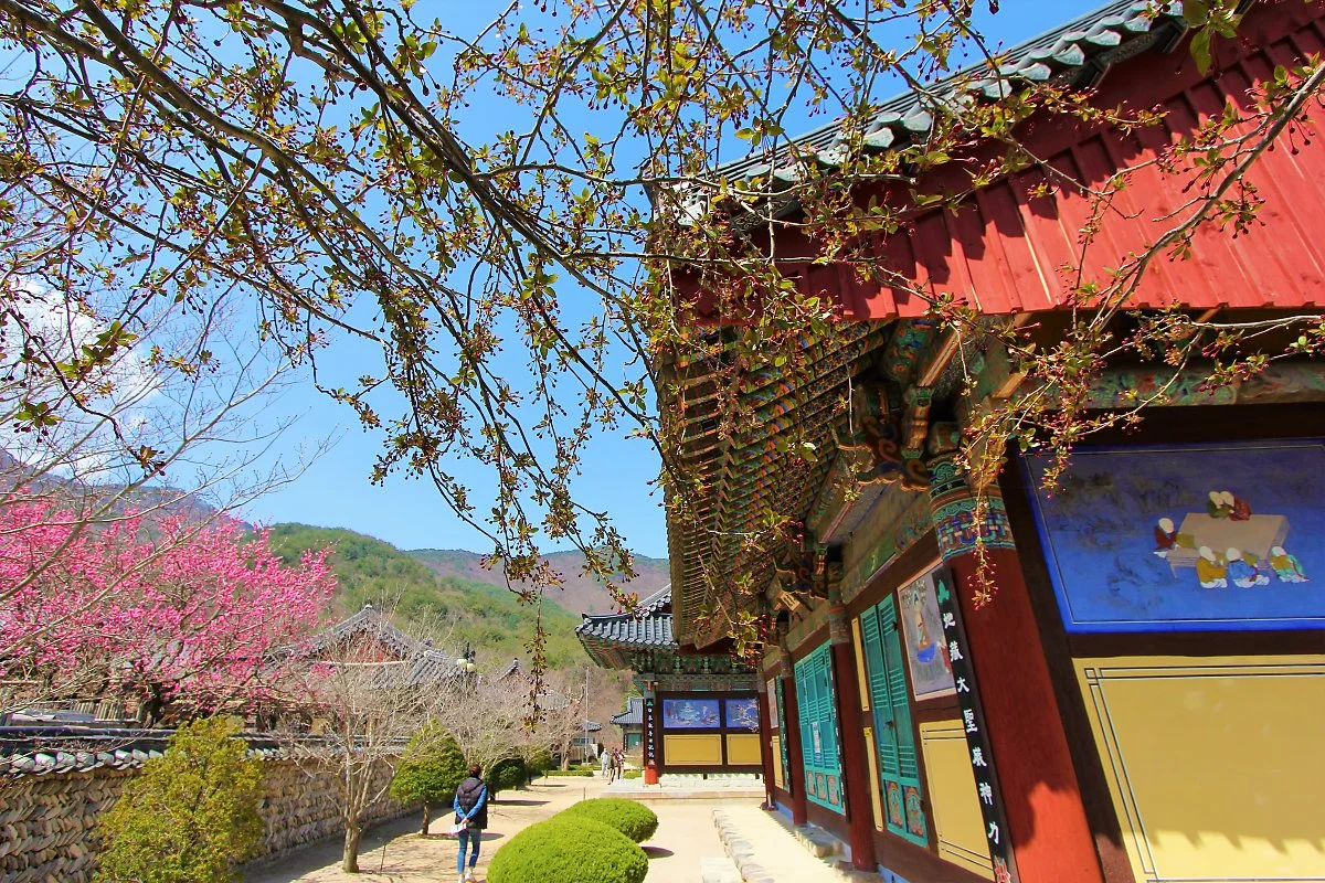 01_%EC%9A%B4%EB%AC%B8%EC%82%AC_%282%29.JPG?type=w1200