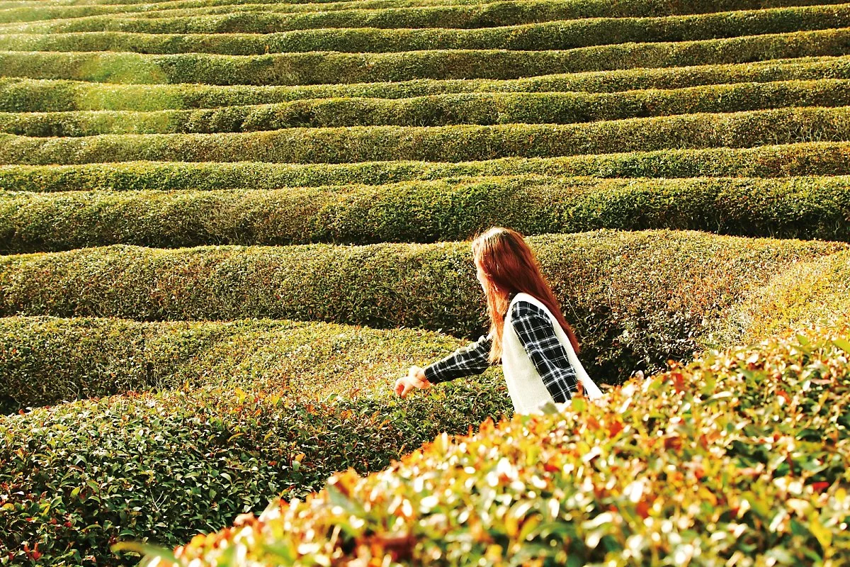 %EB%8C%80%ED%95%9C%EB%8B%A4%EC%9B%90_%286%29.jpg?type=w1200