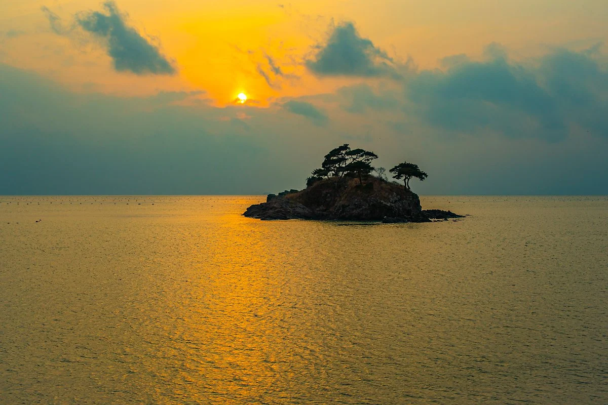 d_%EC%86%94%EC%84%AC.jpg?type=w1200