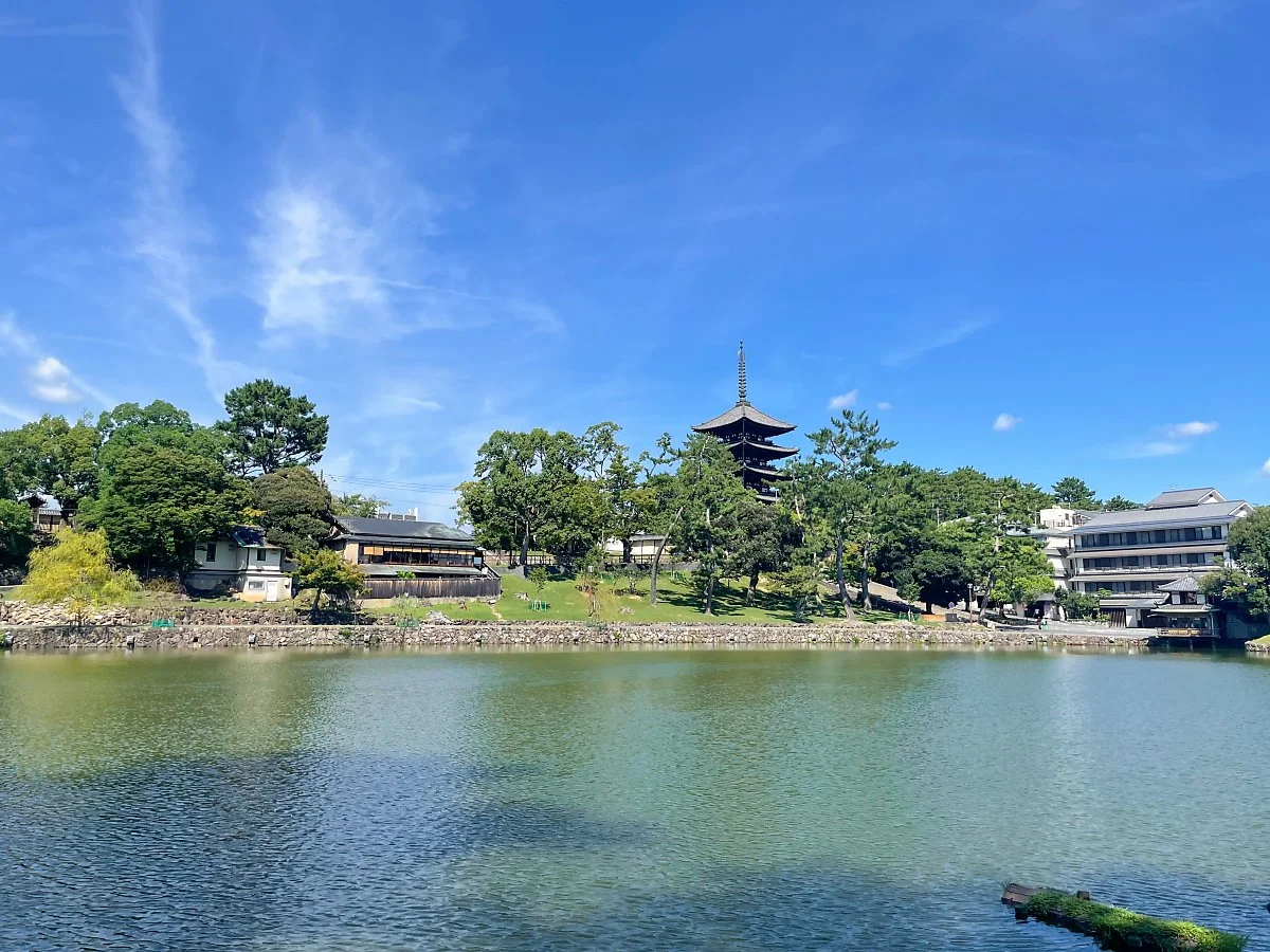 %EB%82%98%EB%9D%BC%EA%B3%B5%EC%9B%90_%282%29.JPG?typew1200