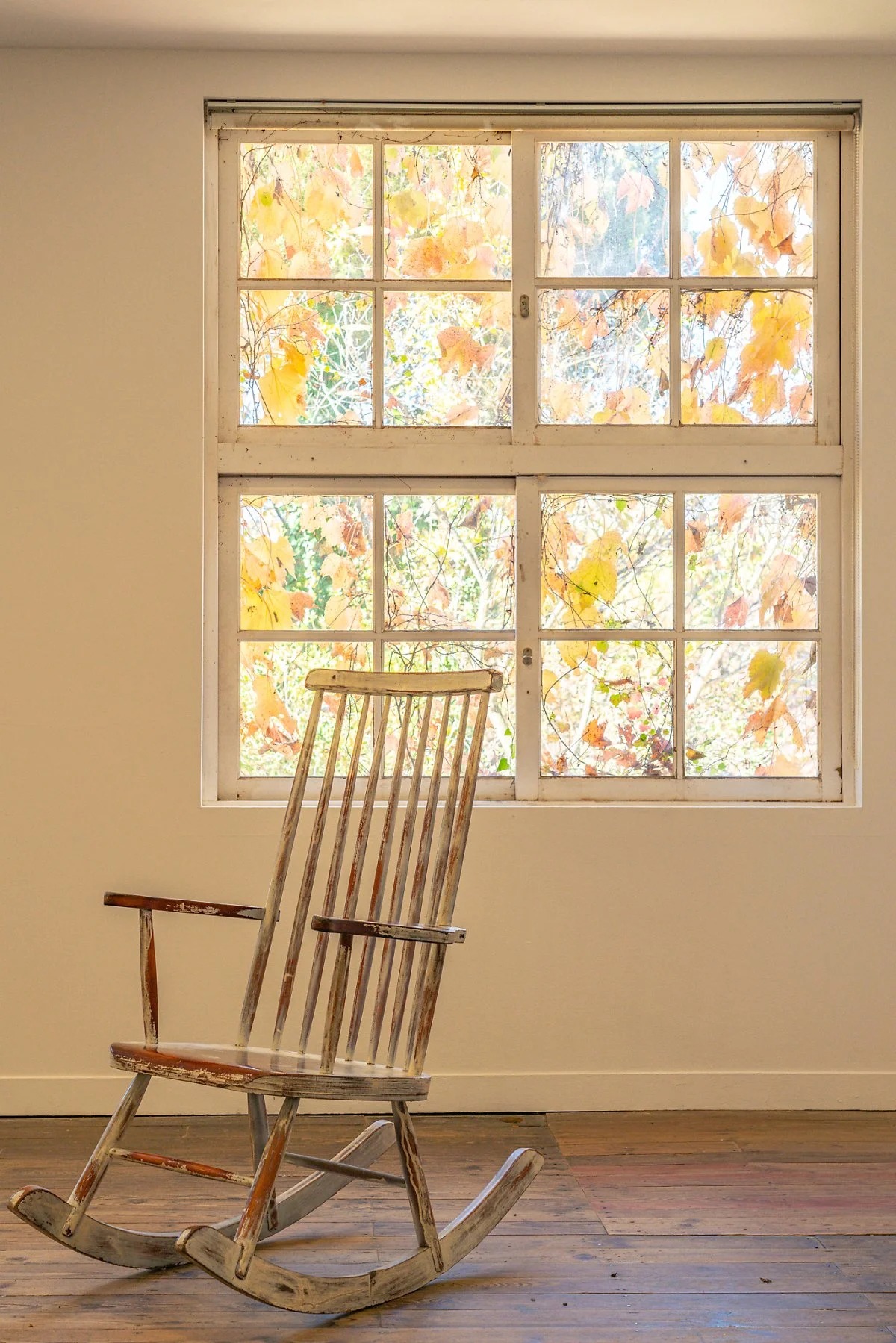 %EC%95%84%EB%AF%B8%EB%AF%B8%EC%88%A0%EA%B4%80_003.jpg?type=w1200