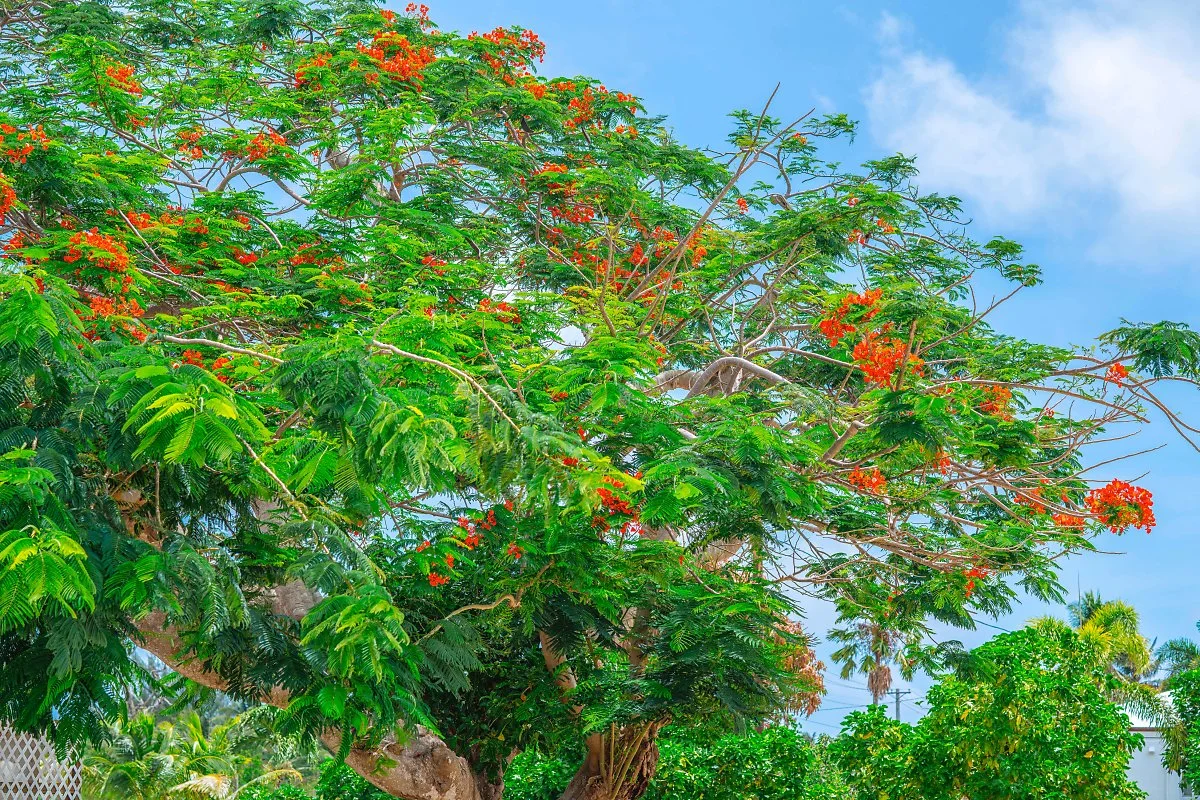 10%ED%8E%98%EC%9D%B4%EC%A7%80_%EC%83%81%EB%8B%A8_%EC%82%AC%EC%A7%84_%EA%B5%90%EC%B2%B4.jpg?type=w1200