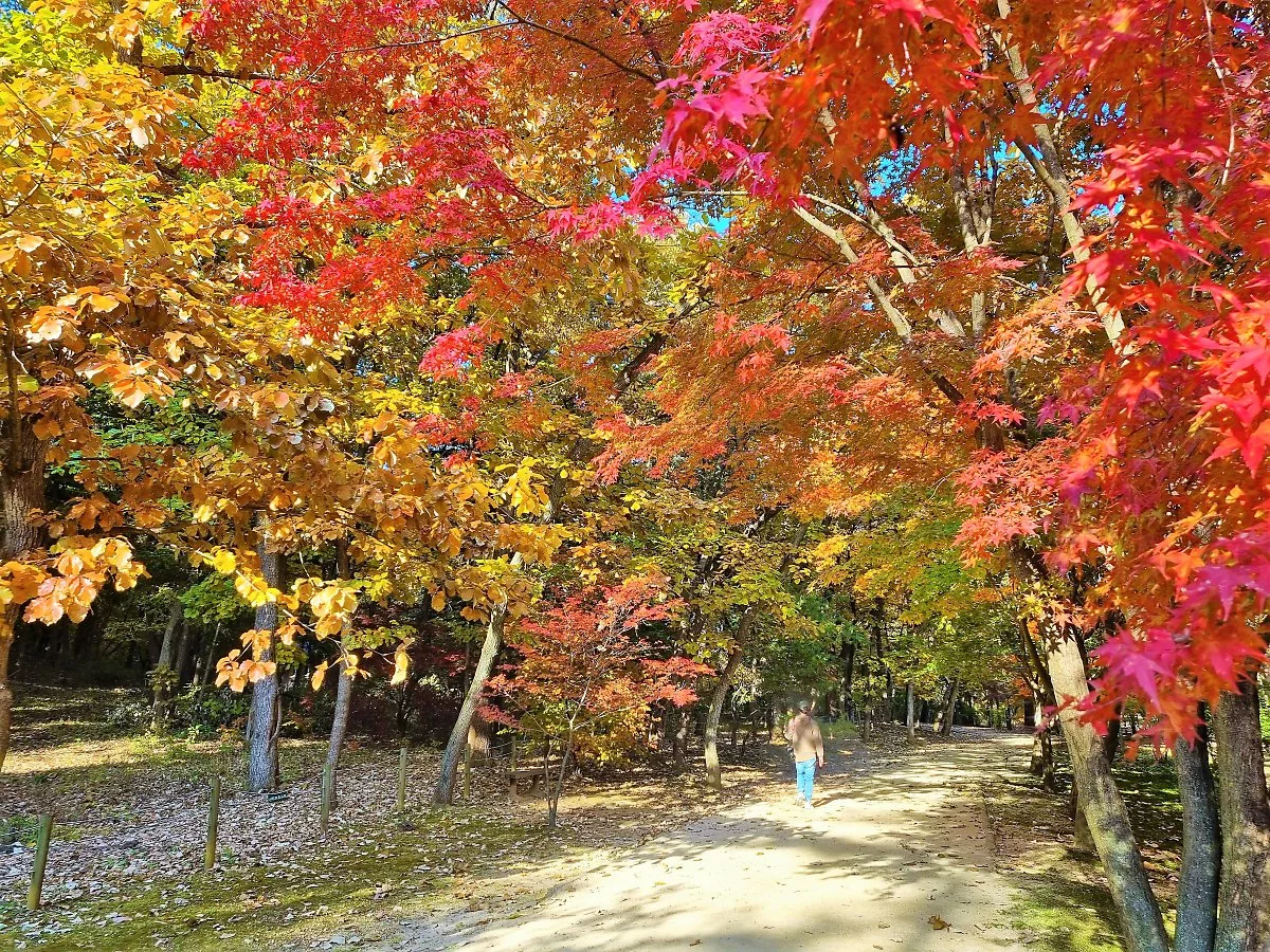 01%ED%8C%8C%EC%A3%BC%EC%82%BC%EB%A6%89_%284%29.jpg?type=w1200