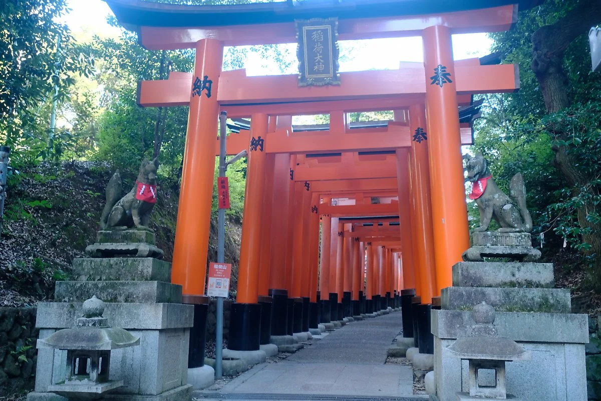 %ED%9B%84%EC%8B%9C%EB%AF%B8_%EC%9D%B4%EB%82%98%EB%A6%AC.JPG?type=w1200