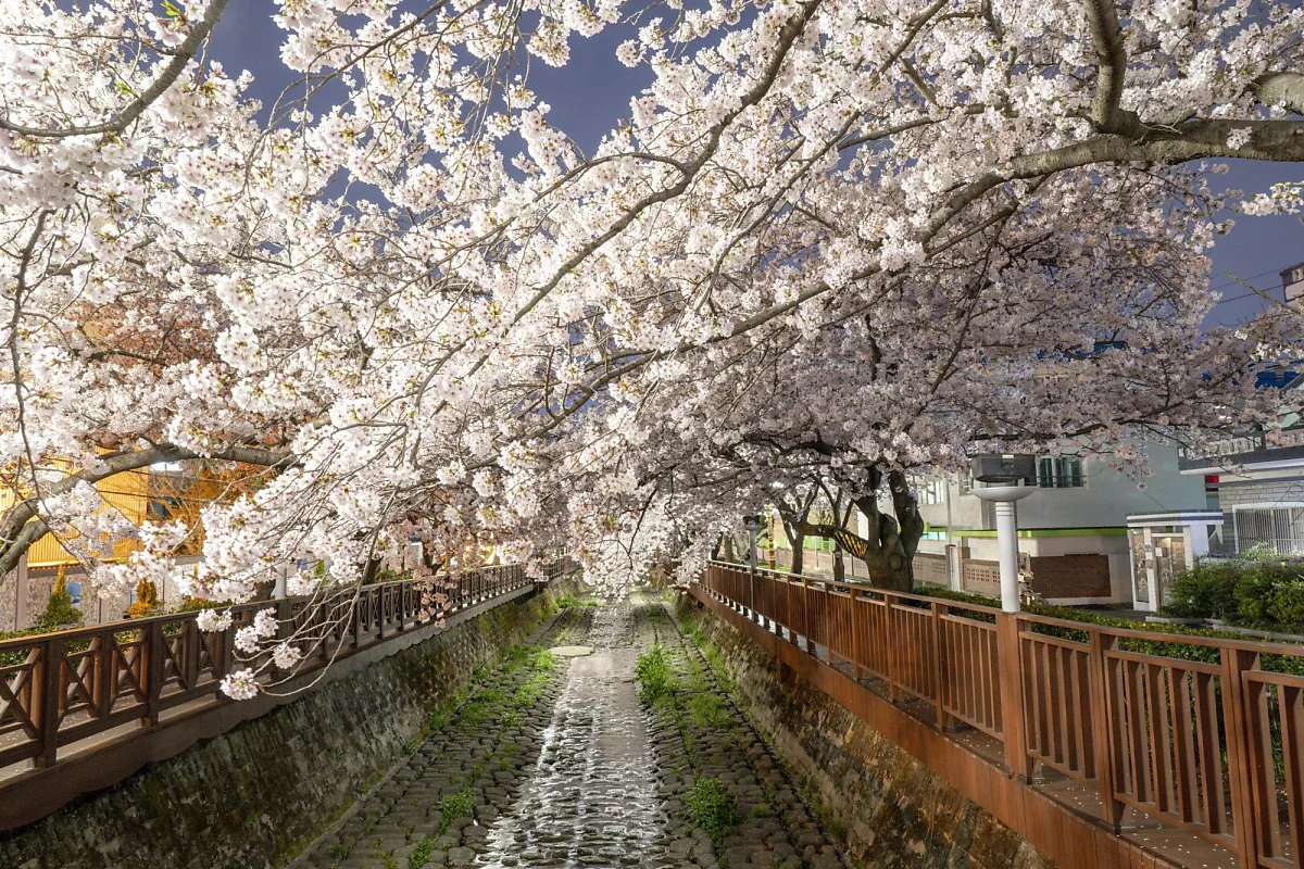 %ED%81%AC%EA%B8%B0%EB%B3%80%ED%99%98%EC%97%AC%EC%A2%8C%EC%B2%9C%EC%95%BC%EA%B2%BD_%282%29.jpg?type=w1200