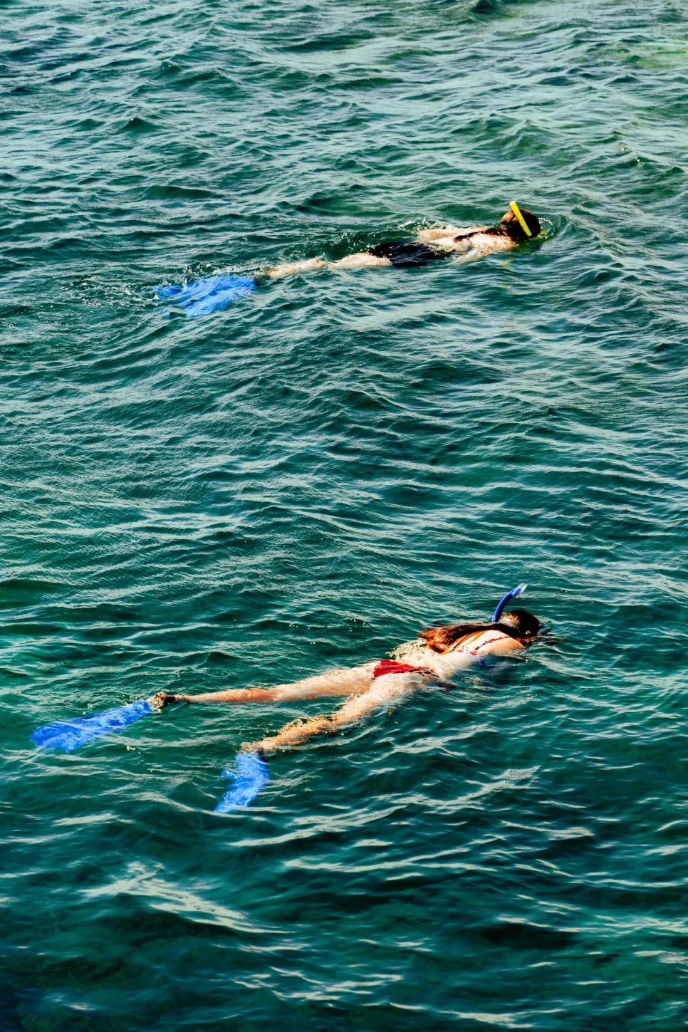 %EB%AC%B4%EC%96%B4_%EB%A6%AC%ED%94%84_%ED%8F%B0%ED%88%B0_(3).jpg?type=w966