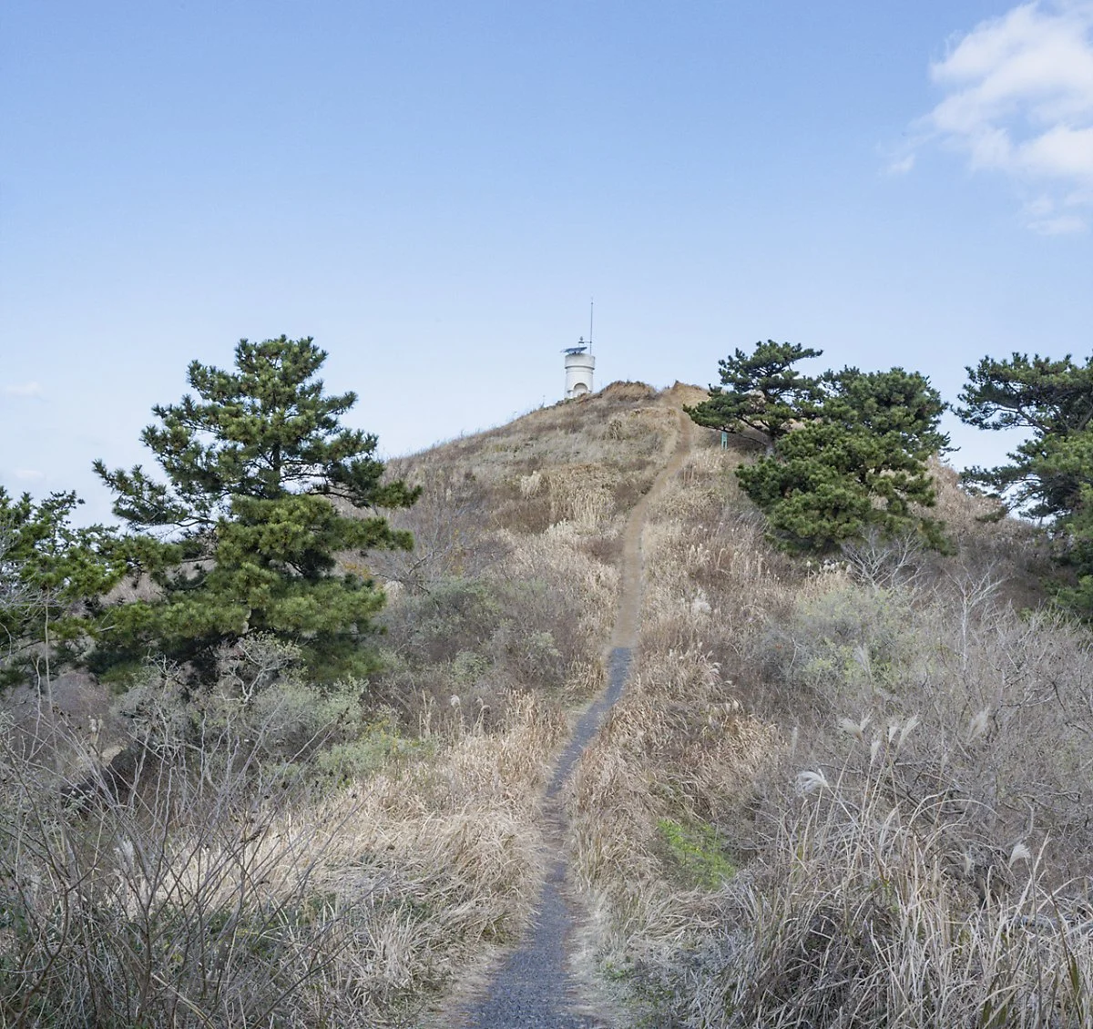 image_8097042031674784813121.jpg?type=w1200