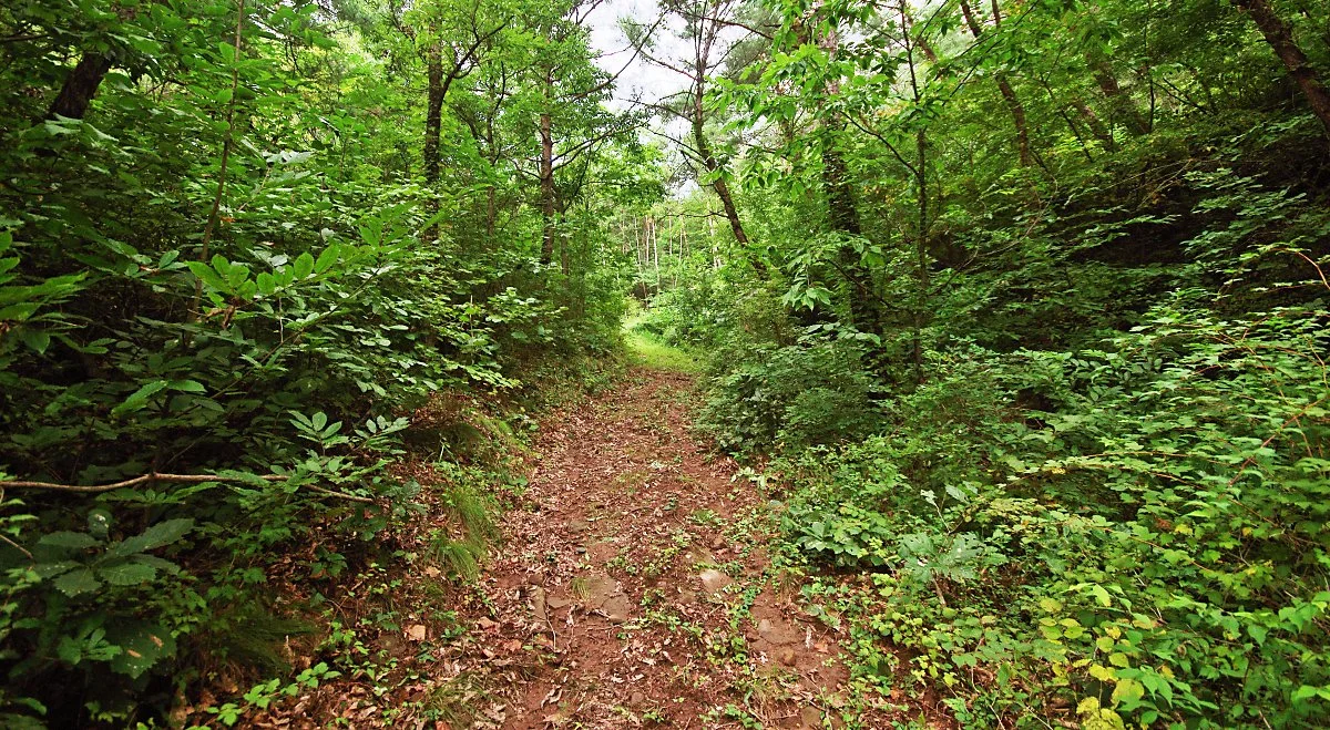 %EA%B8%88%EC%B4%8C%EC%82%B0%EA%B8%B8.JPG?type=w1200