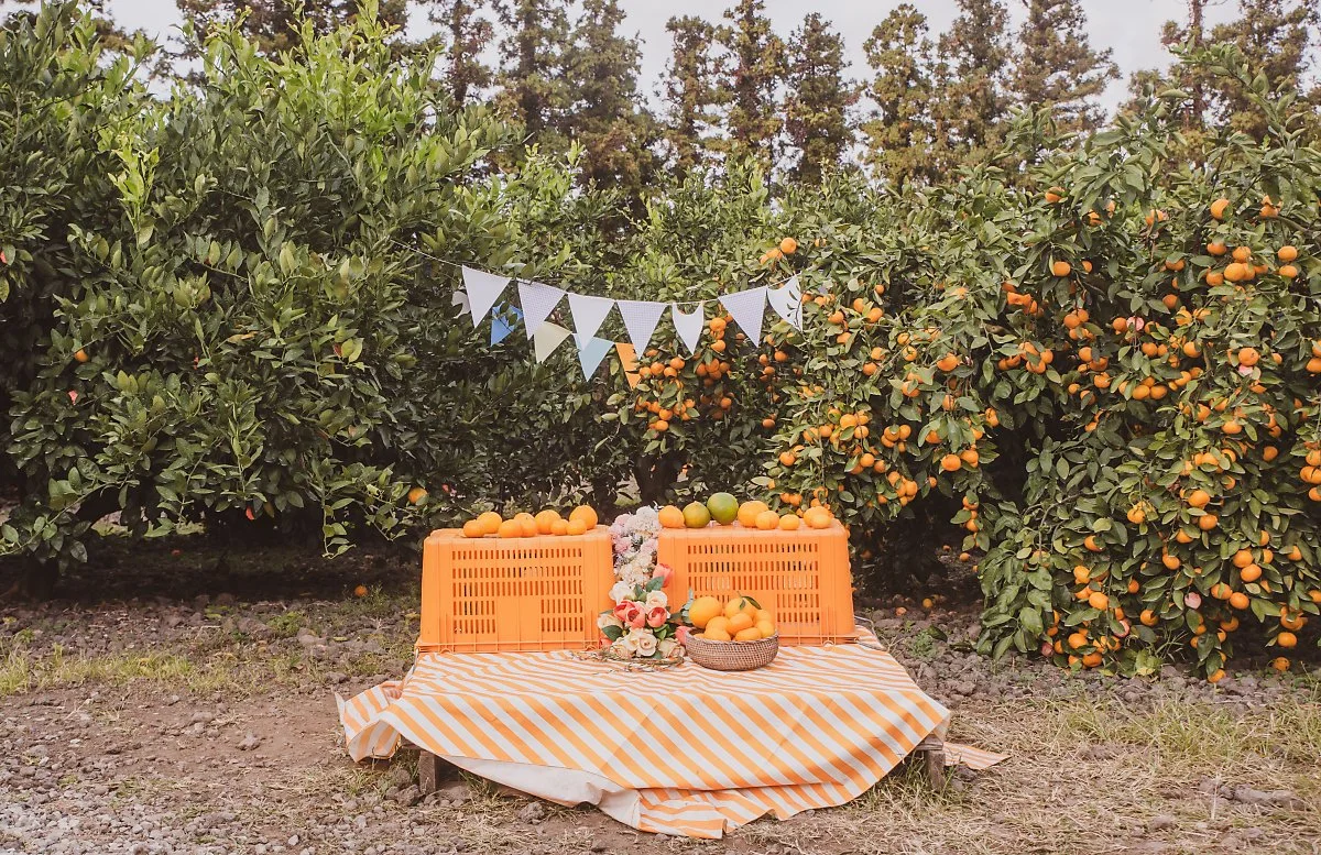 %EC%B9%B4%ED%8E%98%EB%8D%94%EC%BD%98%ED%85%8C%EB%82%98_002.jpg?type=w1200