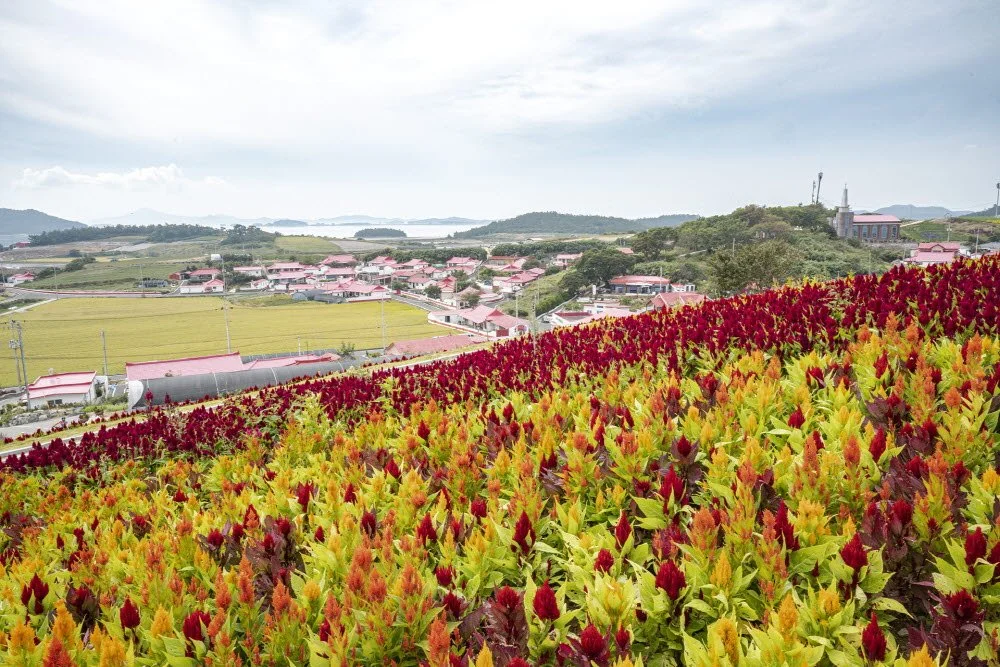 %EB%A7%A8%EB%93%9C%EB%9D%BC%EB%AF%B8%EB%8F%99%EC%82%B0_%288%29.jpg?type=w1200