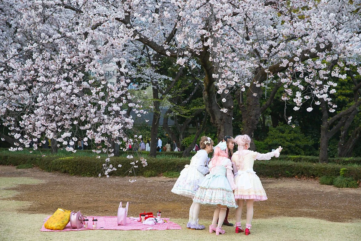 %EB%8F%84%EC%BF%84_%EC%8B%A0%EC%A3%BC%EC%BF%A0_%EA%B5%90_%EC%97%94_3.jpg?type=w1200