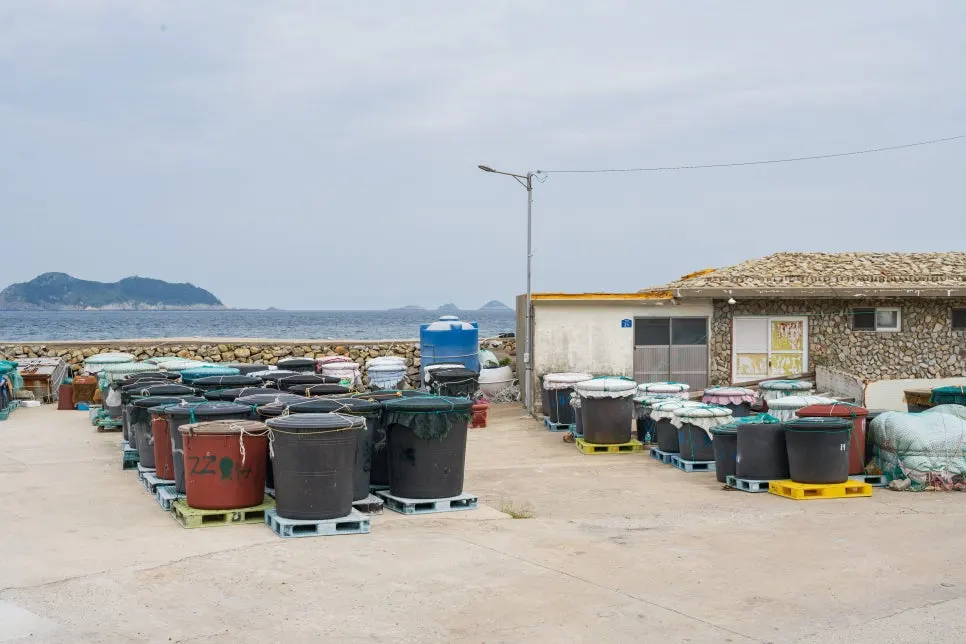 %ED%95%98%EC%B6%94%EC%9E%90_%EC%98%88%EC%B4%88%EB%A6%AC_%EB%A9%B8%EC%B9%98%EC%95%A1%EC%A0%93.jpg?type=w966