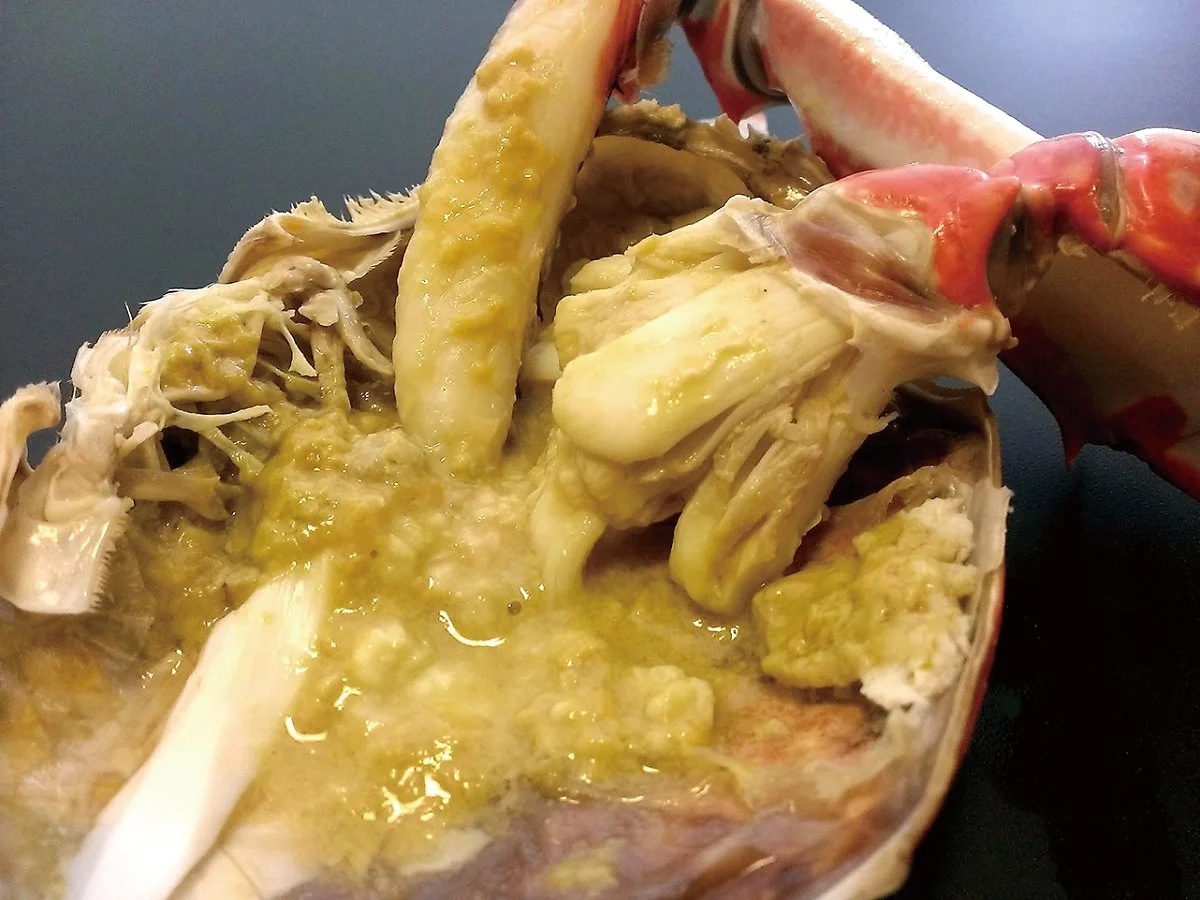 %EB%8B%A4%EC%BC%80%EC%9E%90%ED%82%A4%EA%B2%8C_%EB%82%98.jpg?type=w1200