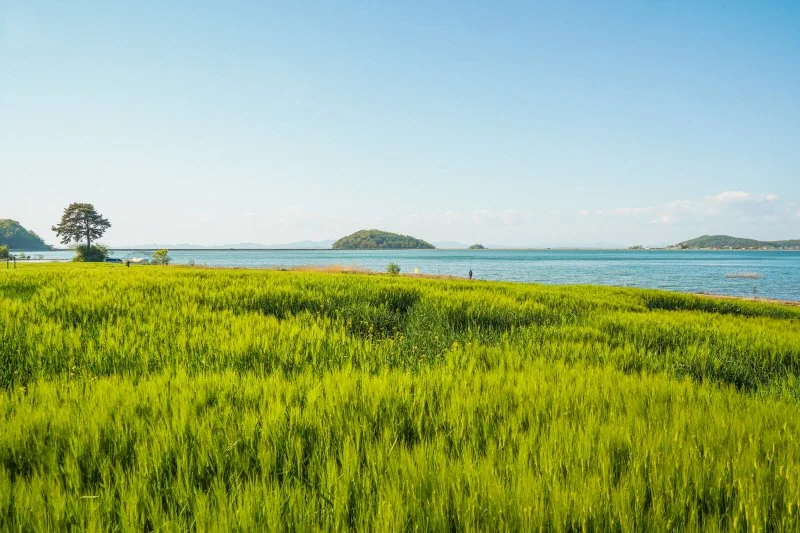 %EB%82%9C%EC%A0%95%EC%A0%80%EC%88%98%EC%A7%80_%282%29.jpg?type=w1200