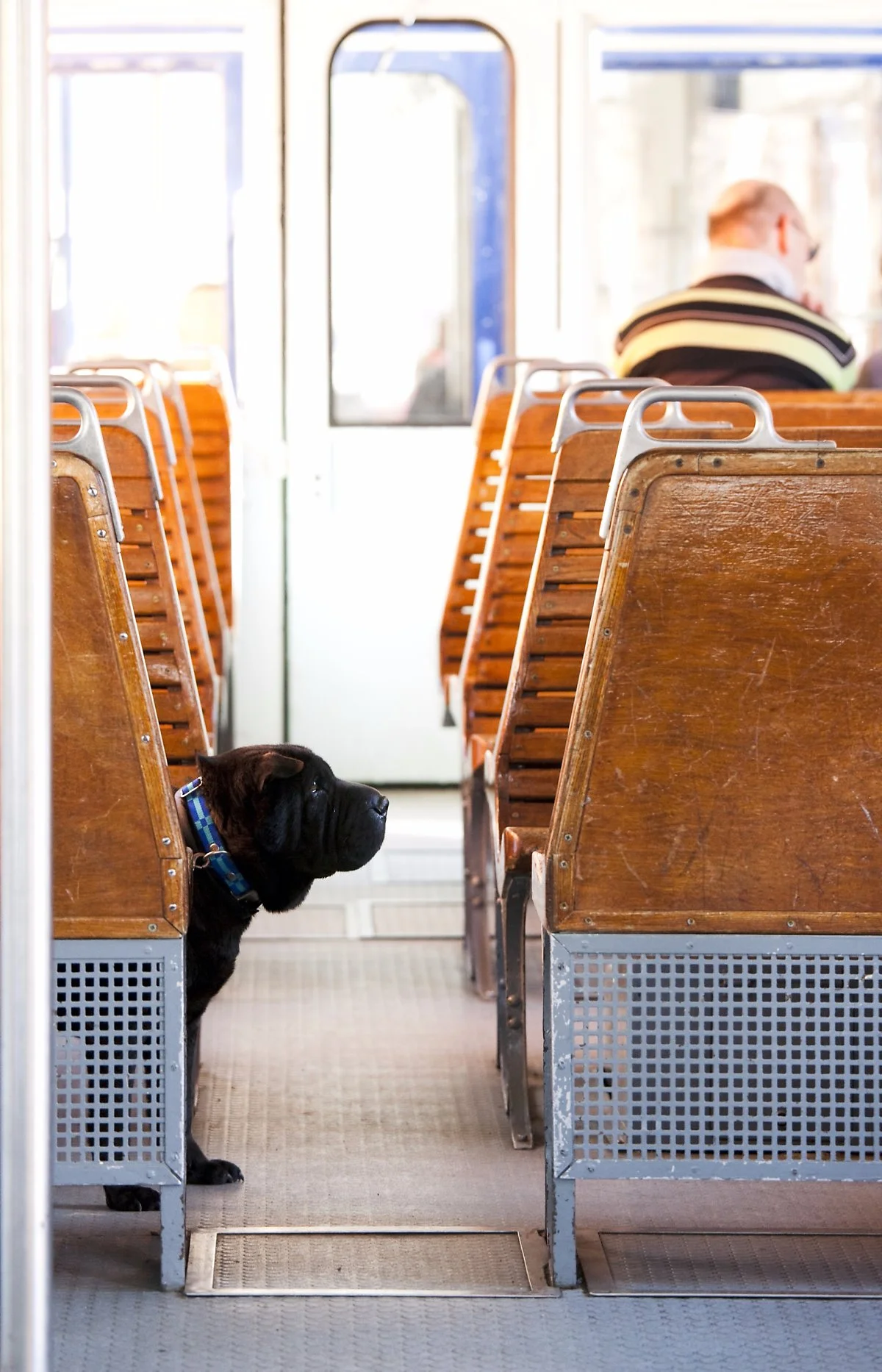 image_3088600161505300456005.jpg?type=w1200