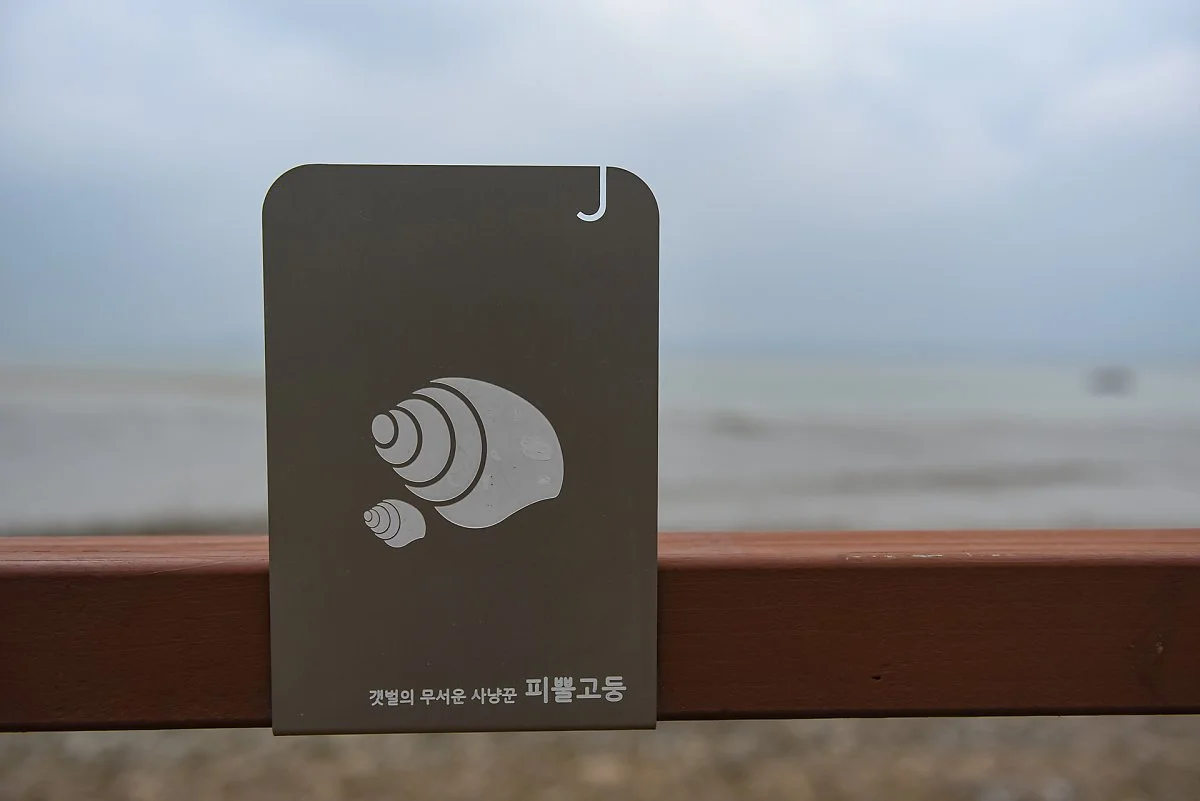 %ED%83%90%EB%B0%A9%EB%A1%9C_%EB%82%9C%EA%B0%84%EC%97%90_%EC%84%A4%EC%B9%98%EB%90%9C_%EB%B0%94%EB%8B%A4%EC%83%9D%EB%AC%BC_%EC%BA%90%EB%A6%AD%ED%84%B0_%283%29.jpg?type=w1200