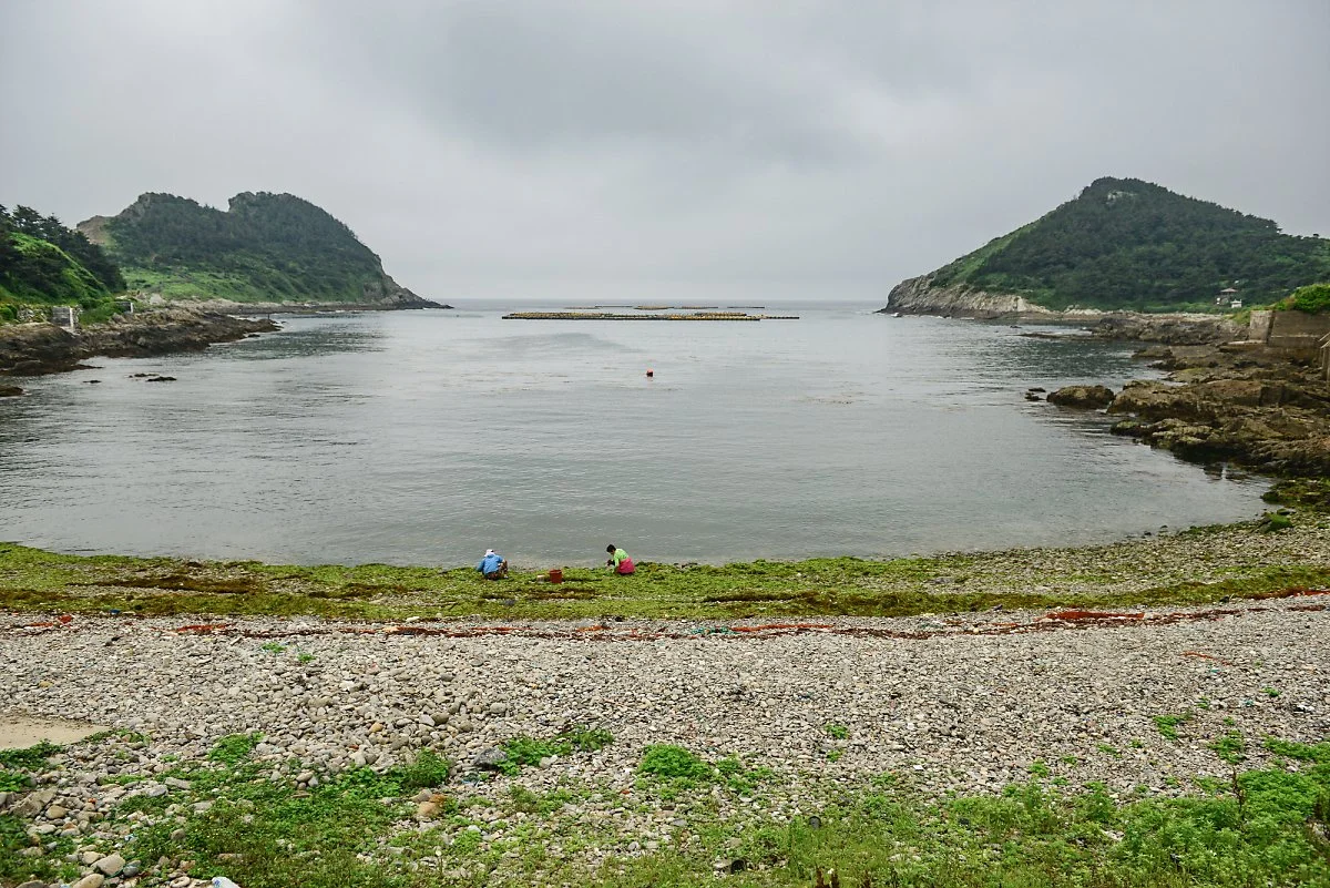 %ED%9B%84%ED%8F%AC%ED%95%B4%EB%B3%80.jpg?type=w1200