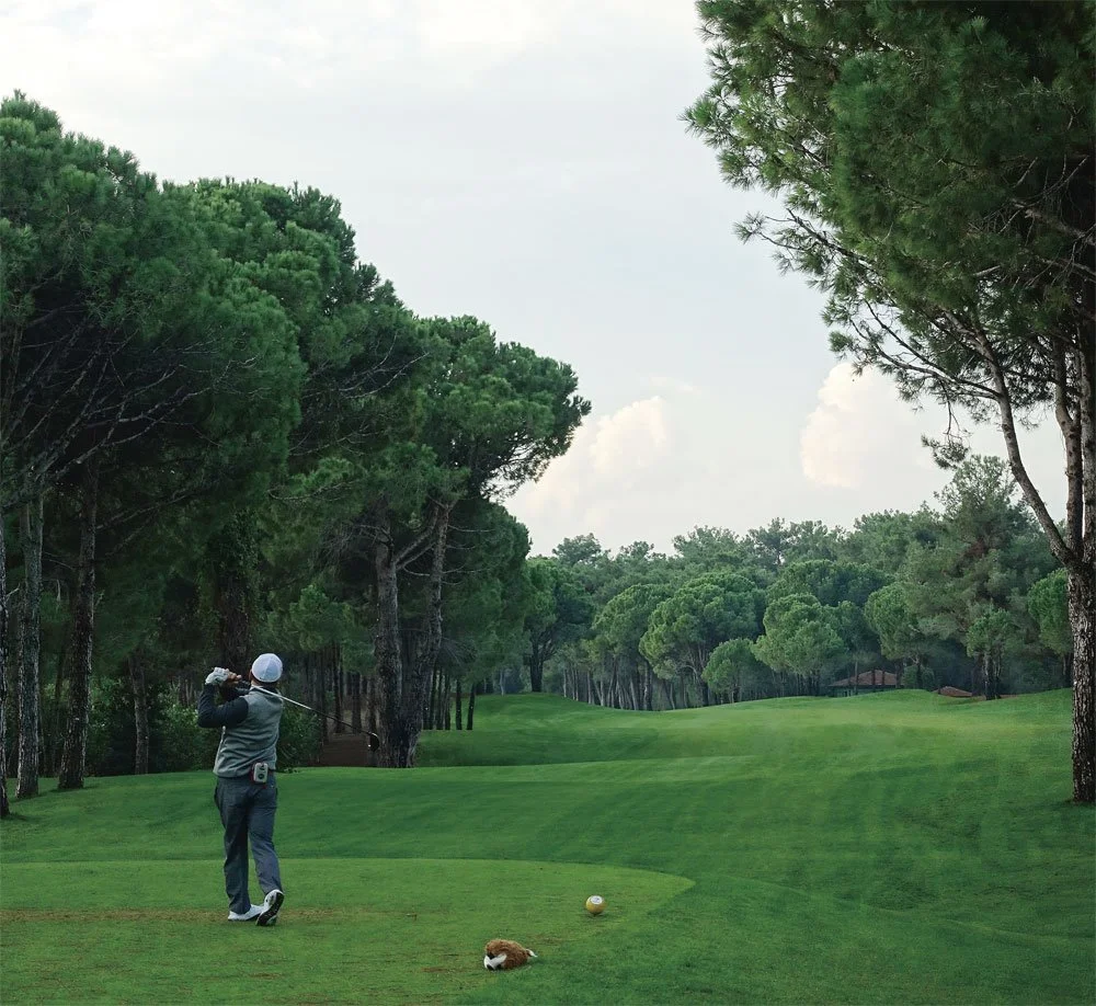 11-%EB%B9%85.jpg?type=w1200