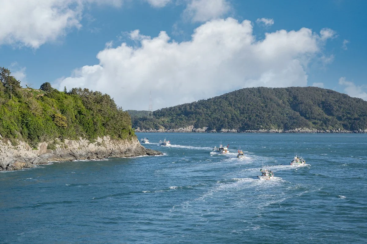 %EC%84%9C%EA%B3%A0%EC%A7%80_%EA%B3%A0%EA%B9%83%EB%B0%B0_%EC%B6%9C%ED%95%AD.jpg?type=w1200