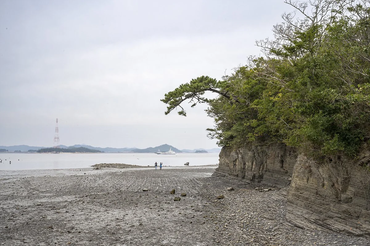 %EB%B3%91%ED%92%8D%EB%B0%94%EC%9C%84_%281%29.jpg?type=w1200