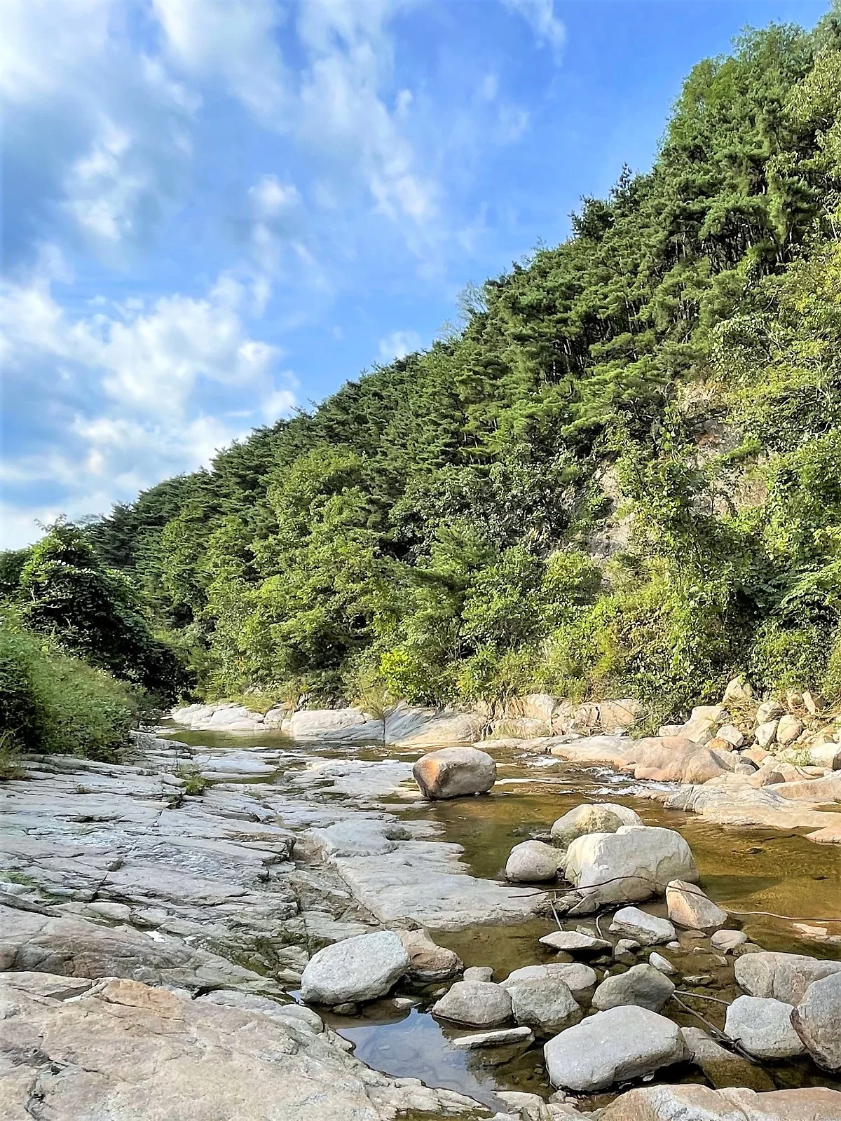 %EB%8F%99%EC%82%B0%EA%B3%84%EA%B3%A1_%282%29.jpg?type=w1200