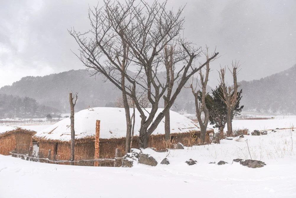 %ED%81%AC%EA%B8%B0%EB%B3%80%ED%99%98%EB%82%98%EB%A6%AC%EB%B6%84%EC%A7%80%EC%9D%98_%EB%B3%B4%EC%A1%B4%EA%B0%80%EC%98%A5_%ED%88%AC%EB%A7%89%EC%A7%91.JPG?type=w1200