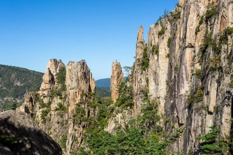 %EB%B2%A0%ED%8B%80%EB%B0%94%EC%9C%84.jpg?type=w1200