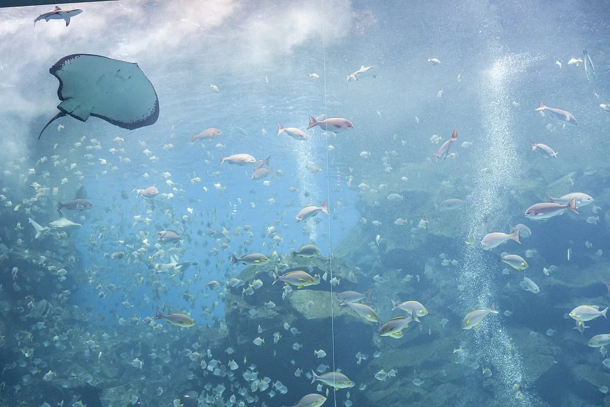 %EC%97%91%EC%8A%A4%ED%8C%8C%ED%81%AC_%281%29.jpg?type=w1200