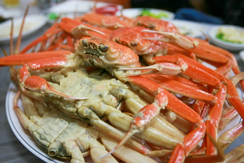 %ED%8F%AC%ED%95%AD-14.jpg?type=w1200