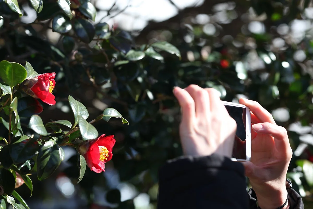 IMG_1925.JPG?type=w1200