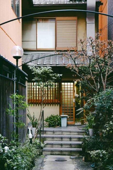 %EC%9A%94%EC%8B%9C%ED%86%A0%EB%9D%BC_2.JPG?type=w466