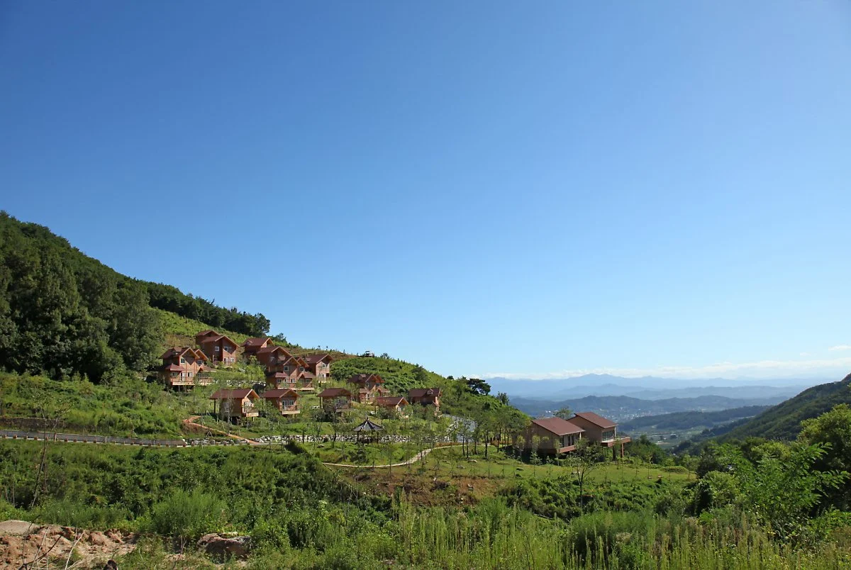 8-1_%EA%B5%AD%EB%A6%BD%EC%82%B0%EB%A6%BC%EC%B9%98%EC%9C%A0%EC%9B%90.JPG?type=w1200