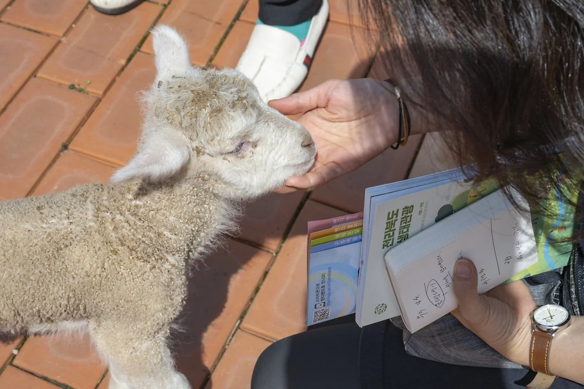 %EB%AC%B4%EC%A3%BC%EB%B0%98%EB%94%94%EB%9E%9C%EB%93%9C_%EB%8F%99%EB%AC%BC%EC%B2%B4%ED%97%98%EC%9E%A5_%283%29.jpg?type=w1200