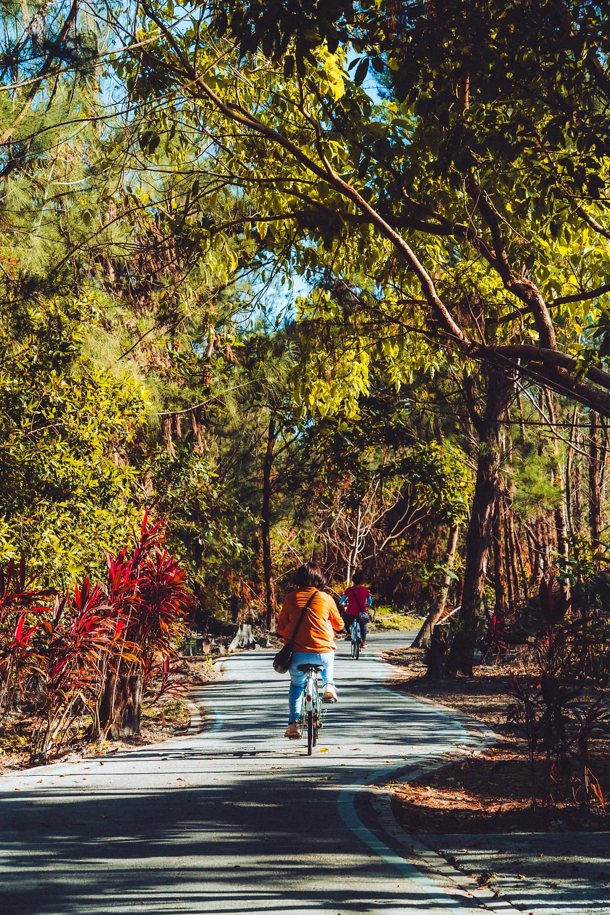 %ED%83%80%EC%9D%B4%EB%8F%99_%EC%82%BC%EB%A6%BC%EA%B3%B5%EC%9B%90_%285%29.jpg?type=w1200