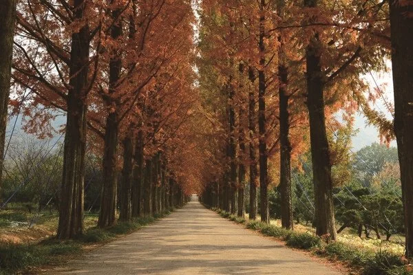 %EC%A0%84%EB%82%A8%EC%82%B0%EB%A6%BC%EC%97%B0%EA%B5%AC%EC%9B%90.jpg?type=w1200