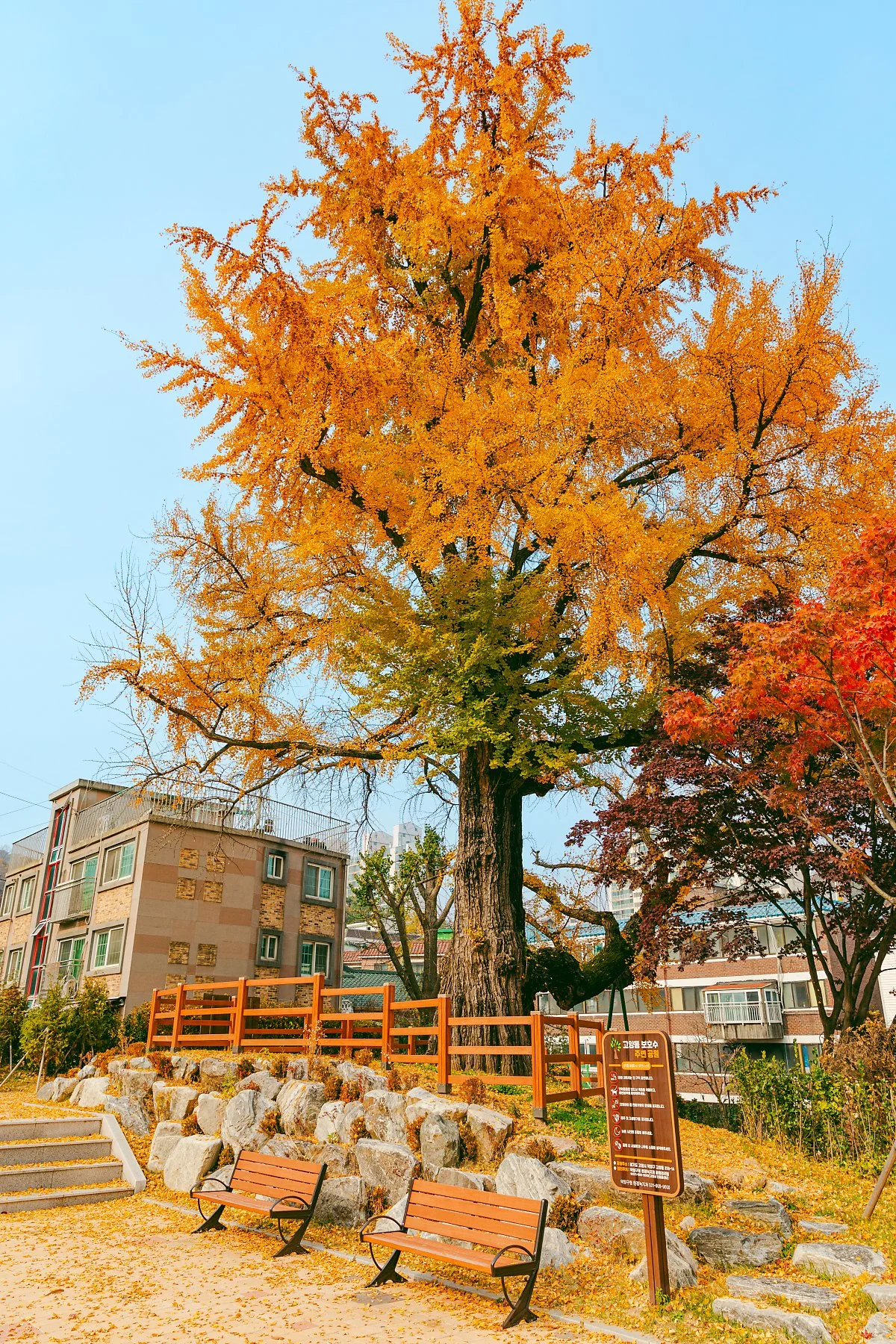 %EF%80%88d_%EB%B2%BD%EC%A0%9C%EA%B4%80%EC%A7%80_3.jpg?type=w1200