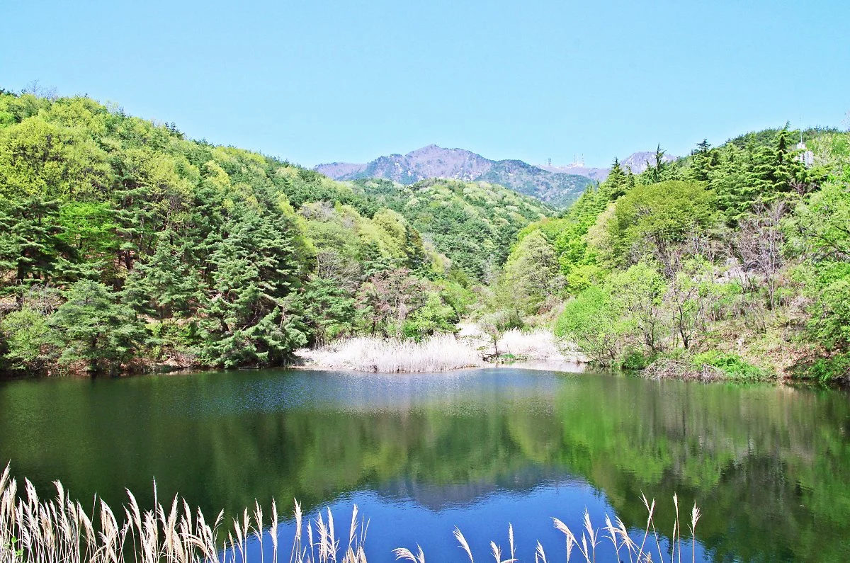 %EC%88%98%ED%83%9C%EC%A7%80.JPG?type=w1200