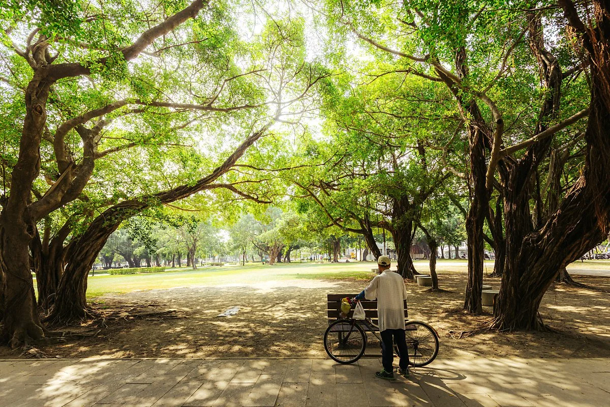 %EA%B0%80%EC%98%A4%EC%8A%9D_%E5%BF%98%E6%86%82%E6%A3%AE%E6%9E%97_2.jpg?type=w1200