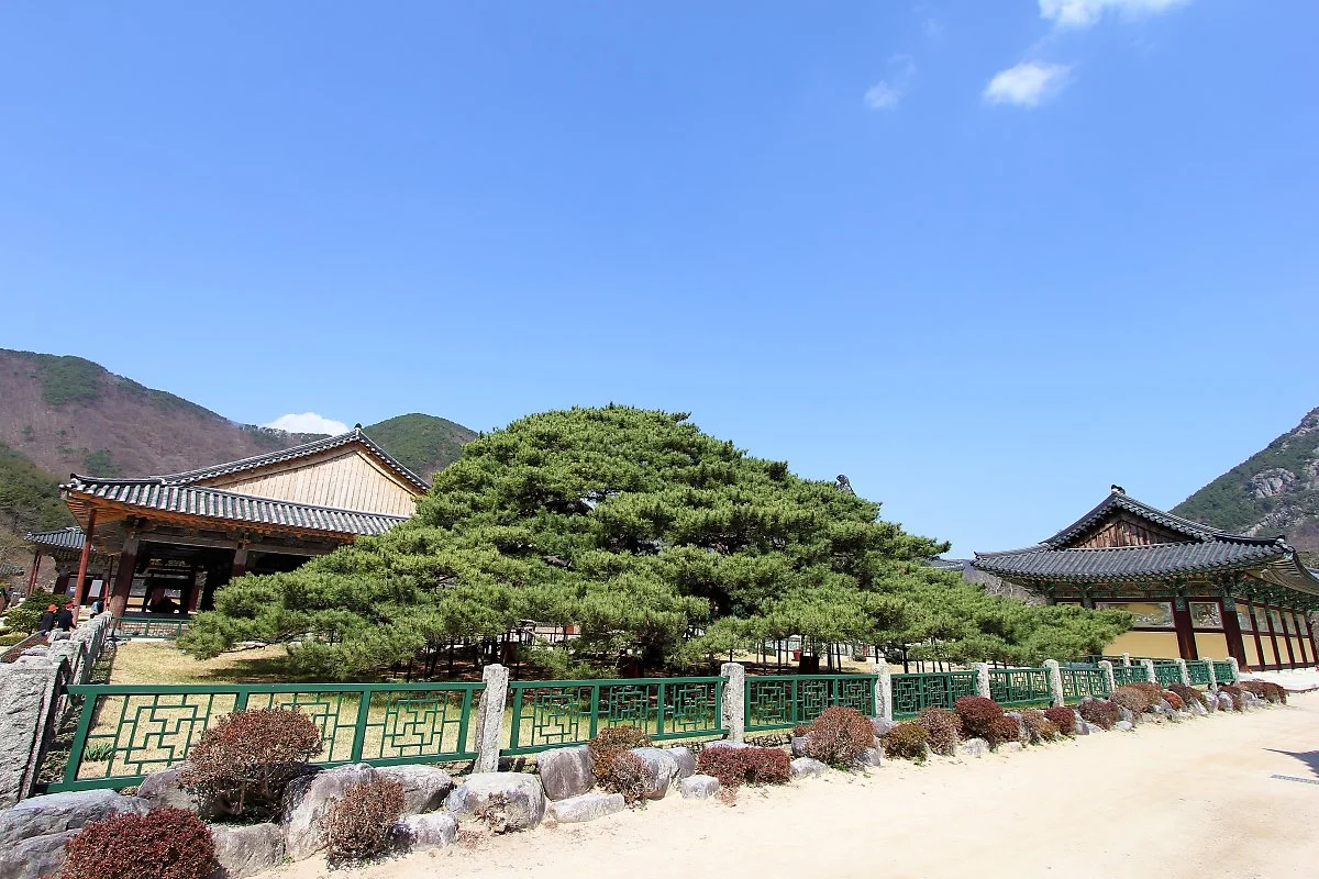 01_%EC%9A%B4%EB%AC%B8%EC%82%AC_%281%29.JPG?type=w1200