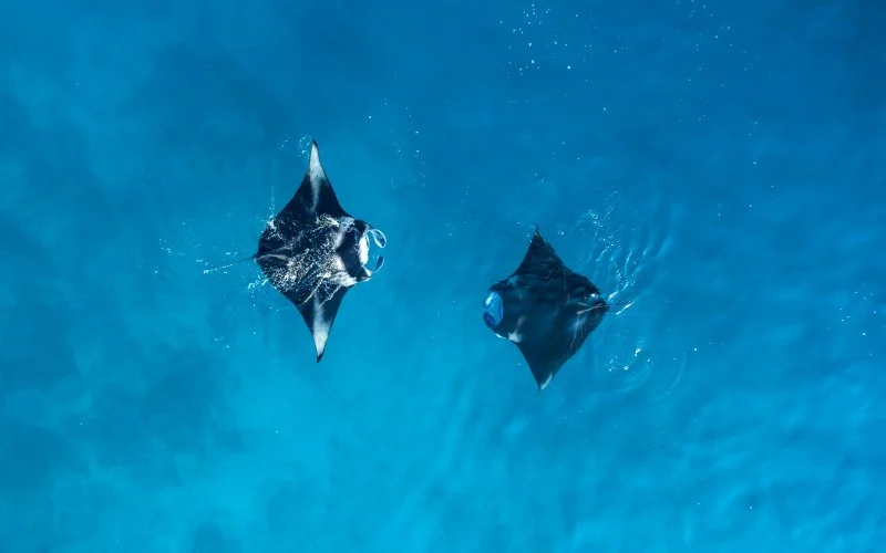 3p_%EC%A0%84%EC%B2%B4.jpg?type=w1200