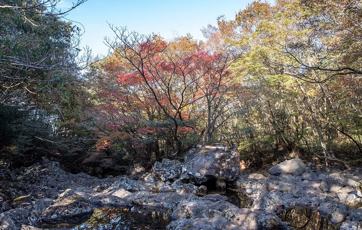 %EC%88%B2_001.jpg?type=w1200