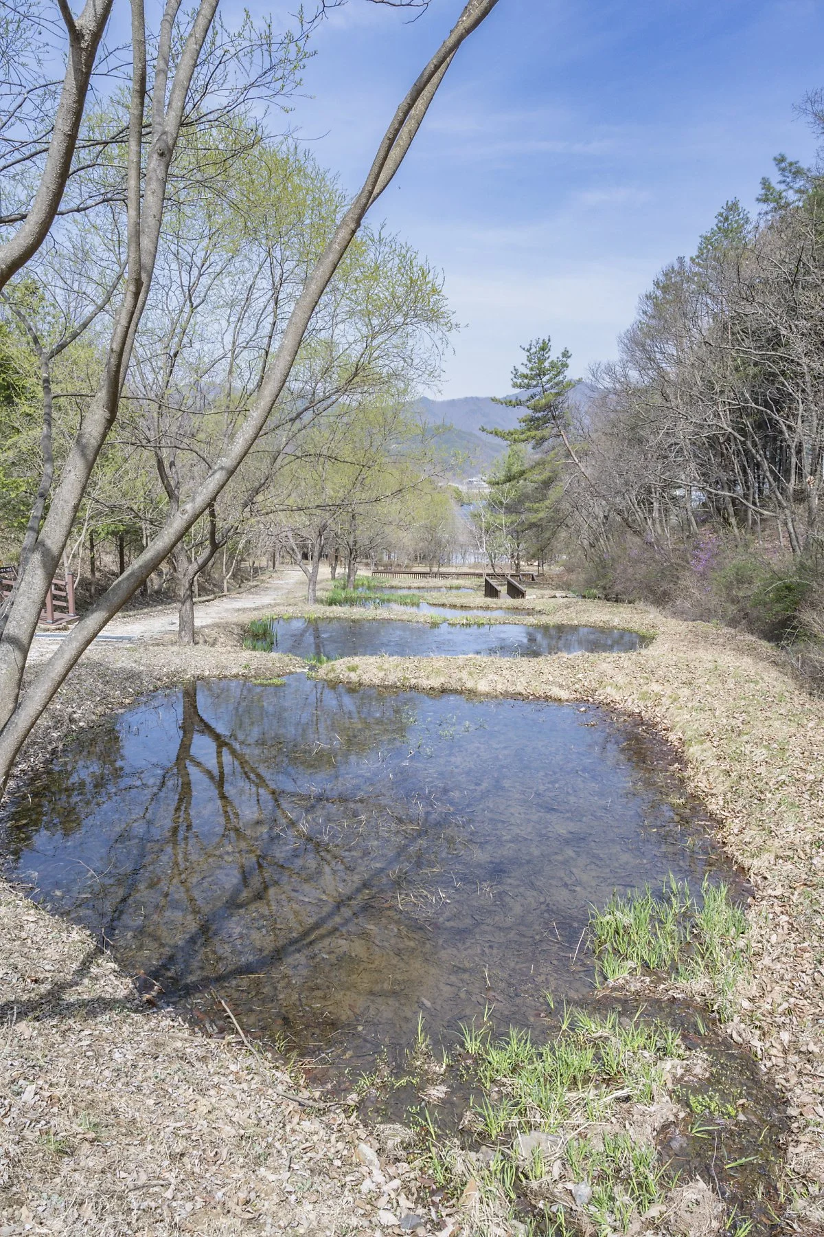 %EB%AC%B4%EC%A3%BC%EB%B0%98%EB%94%94%EB%9E%9C%EB%93%9C_%EB%B0%98%EB%94%A7%EB%B6%88%EC%9D%B4%EC%84%9C%EC%8B%9D%EC%A7%80_%288%29.jpg?type=w1200