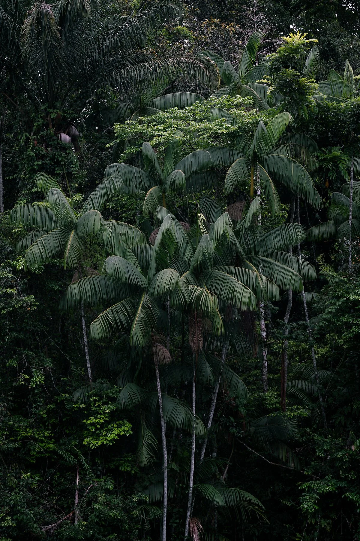 _DSC4477.jpg?type=w1200