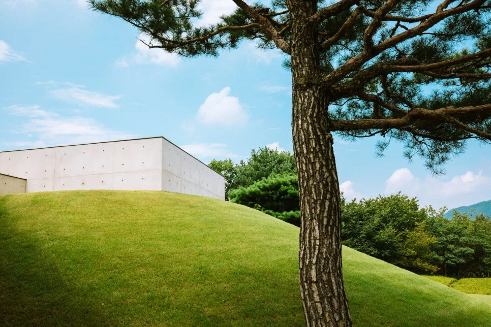 %EB%AE%A4%EC%A7%80%EC%97%84_%EC%82%B0-9-2.jpg?type=w966