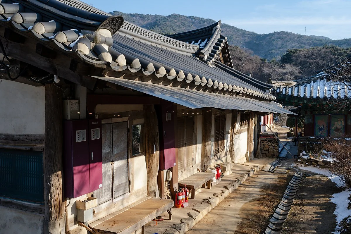 %EA%B0%9C%EC%8B%AC%EC%82%AC_%283%29.jpg?type=w1200