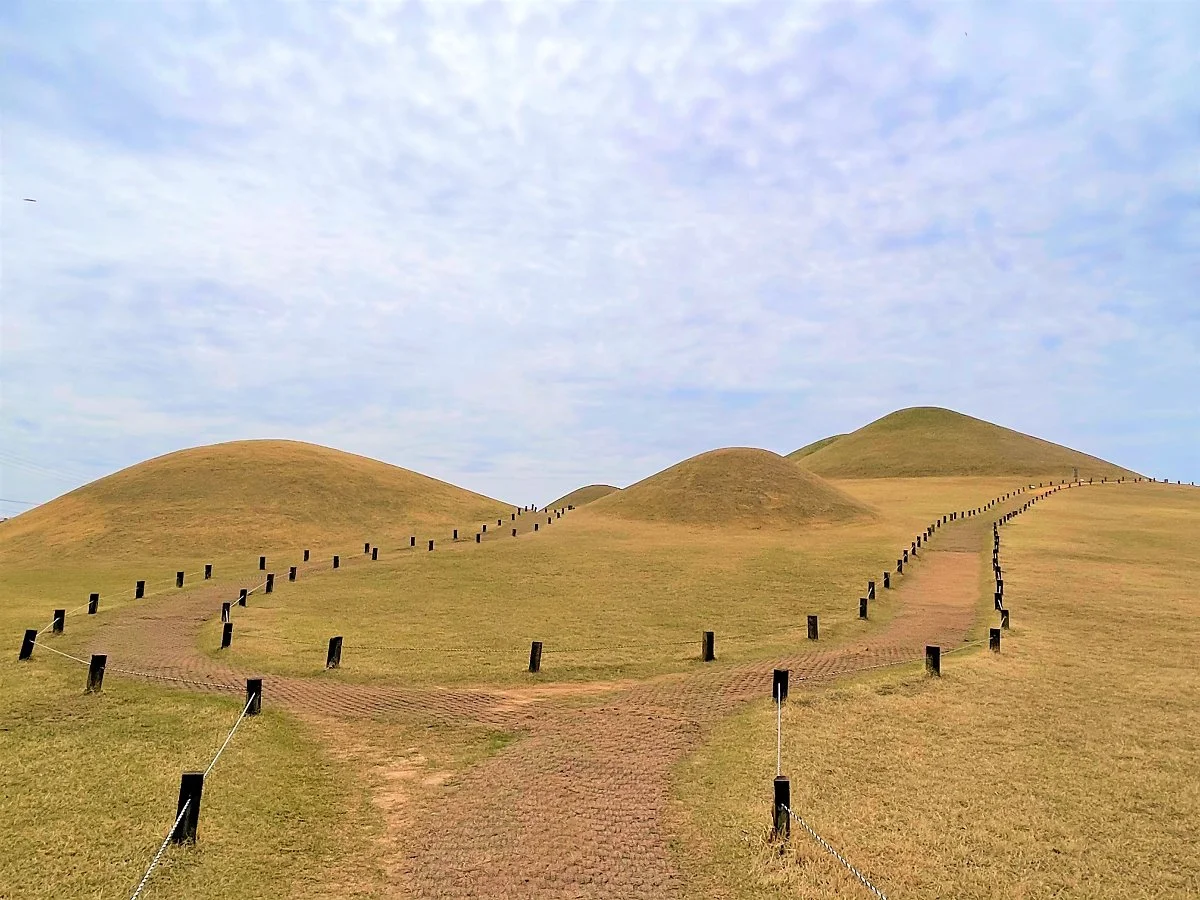 %EA%B3%A0%EC%84%B1%EC%86%A1%ED%95%99%EB%8F%99%EA%B3%A0%EB%B6%84%EA%B5%B0_%281%29.JPG?type=w1200