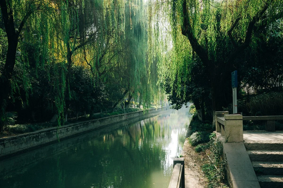 %EC%98%A4%EB%A5%98%ED%95%AD_%EC%97%AD%EC%82%AC%EC%A7%80%EA%B5%AC__%289%29.jpg?type=w1200