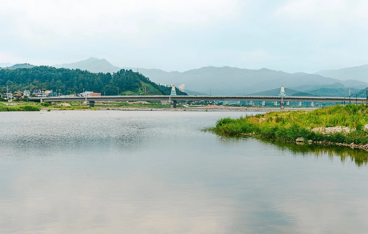 d_%EC%96%91%EC%96%91%EB%82%A8%EB%8C%80%EC%B2%9C%EC%B2%B4%EC%9C%A1%EA%B3%B5%EC%9B%90_2.jpg?type=w1200