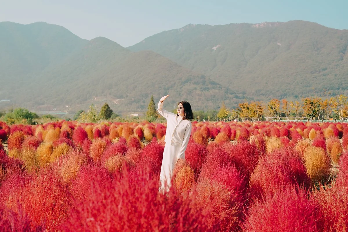 %EA%B2%BD%EB%82%A8_%EC%96%91%EC%82%B0_%ED%99%A9%EC%82%B0%EA%B3%B5%EC%9B%90.jpg?type=w1200