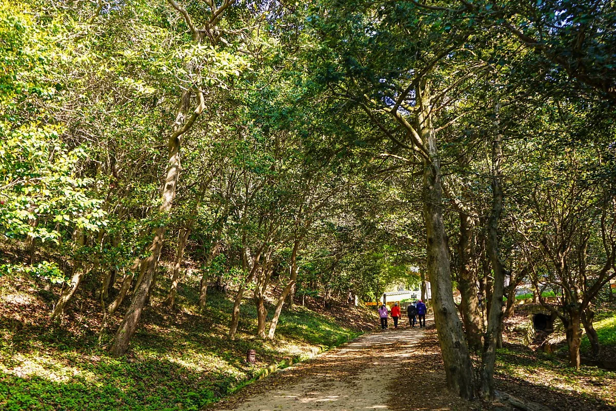 %EB%B0%B1%EB%A0%A8%EC%82%AC_%284%29.JPG?type=w1200